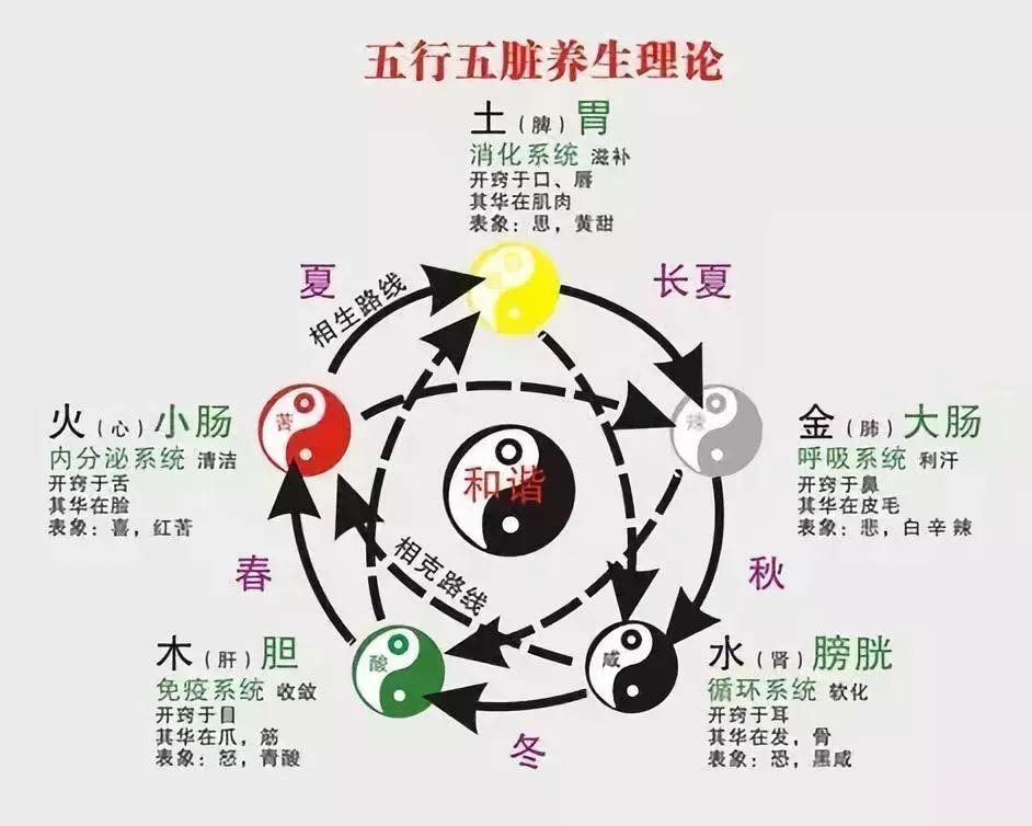 重庆风水大师李九燚：五行学说的来历