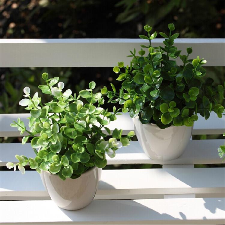 卧室养什么植物风水好？
