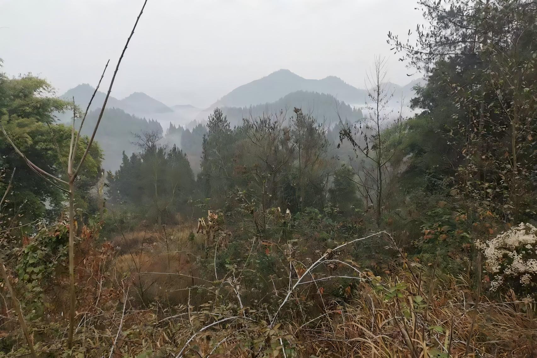 重庆风水大师李九燚谈葬期礼制与风水禁忌