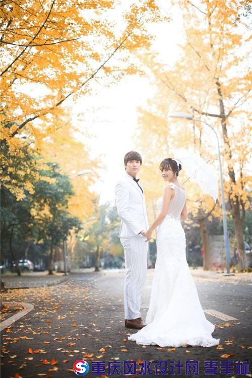 src=http___tgi12.jia.com_117_754_17754006.jpg&refer=http___tgi12.jia.jpg
