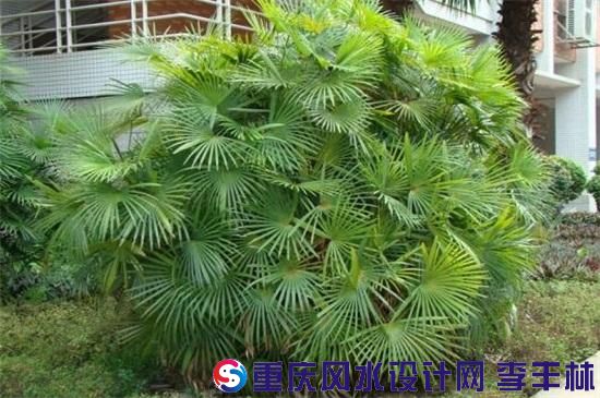 src=http___image.huahuibk.com_uploads_20190223_15_1550907917-ZBAGnzQpYi.jpg&refer=http___image.huahuibk.jpg