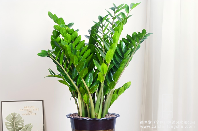 1765765304586947.png 屏幕截图 2025-12-12 165243.png