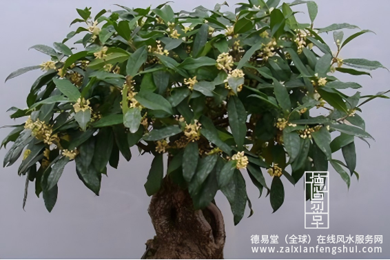 1765765361243940.png 屏幕截图 2025-12-12 165405.png