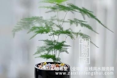 1775786402543377.jpg t011f5d86de2bd4f5b8.jpg